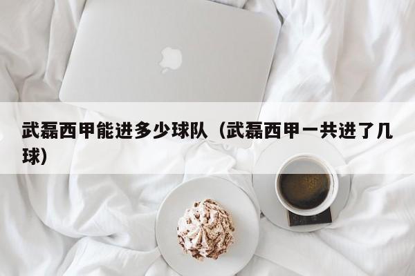 武磊西甲能进多少球队（武磊西甲一共进了几球）