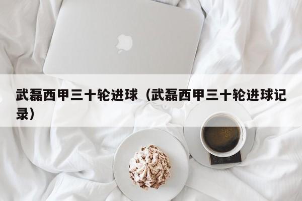武磊西甲三十轮进球（武磊西甲三十轮进球记录）