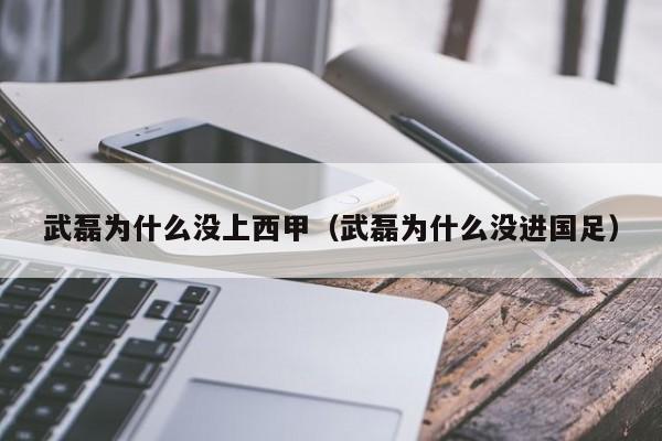 武磊为什么没上西甲（武磊为什么没进国足）