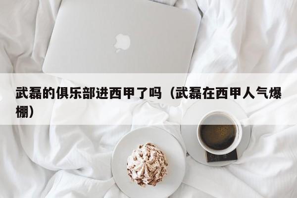 武磊的俱乐部进西甲了吗（武磊在西甲人气爆棚）