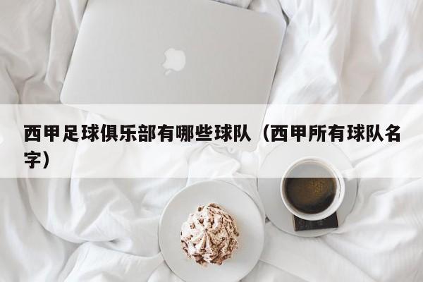 西甲足球俱乐部有哪些球队（西甲所有球队名字）