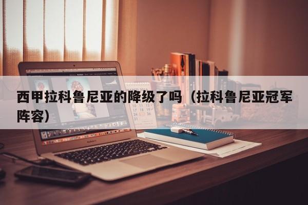 西甲拉科鲁尼亚的降级了吗（拉科鲁尼亚冠军阵容）