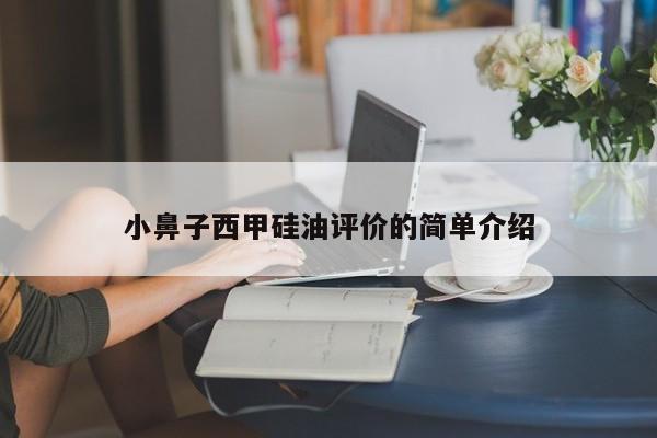 小鼻子西甲硅油评价的简单介绍