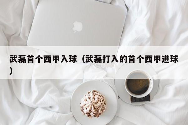 武磊首个西甲入球（武磊打入的首个西甲进球）