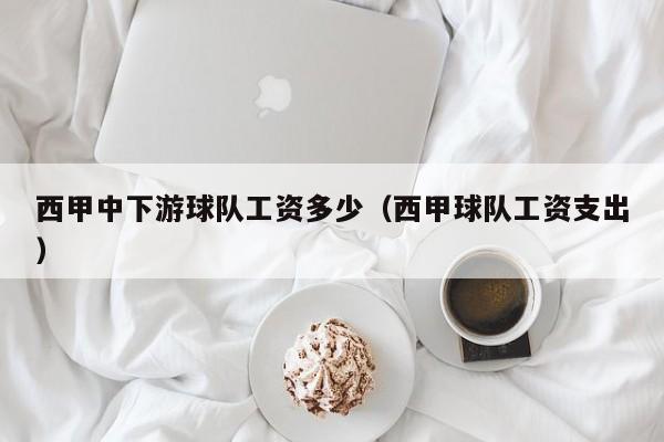 西甲中下游球队工资多少（西甲球队工资支出）