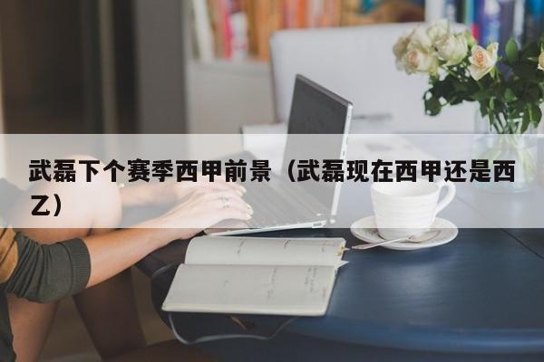 武磊下个赛季西甲前景（武磊现在西甲还是西乙）