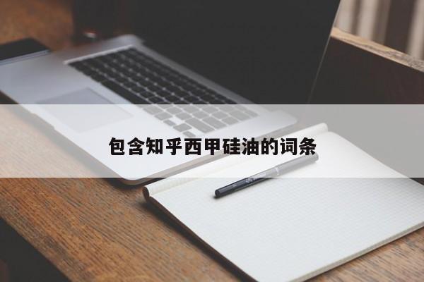 包含知乎西甲硅油的词条