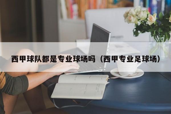 西甲球队都是专业球场吗（西甲专业足球场）