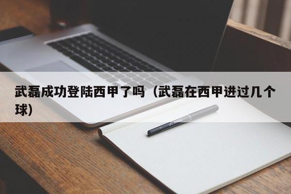 武磊成功登陆西甲了吗（武磊在西甲进过几个球）
