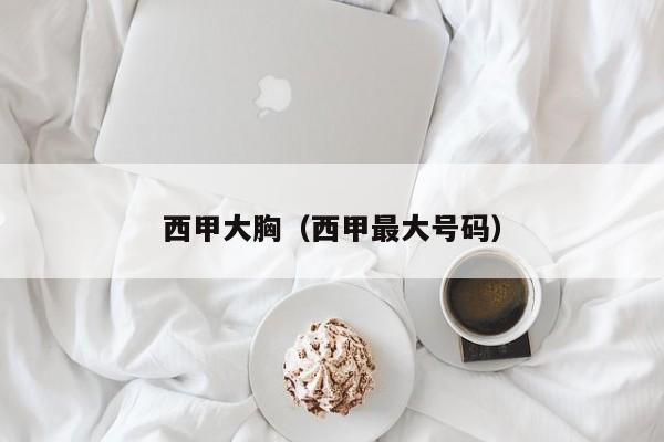 西甲大胸（西甲最大号码）
