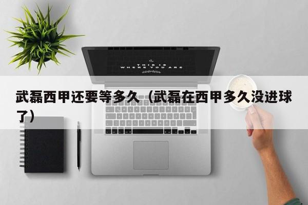 武磊西甲还要等多久（武磊在西甲多久没进球了）