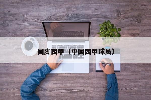 国脚西甲（中国西甲球员）