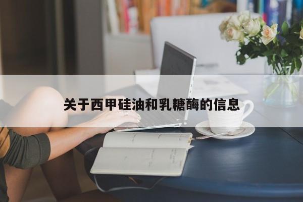 关于西甲硅油和乳糖酶的信息