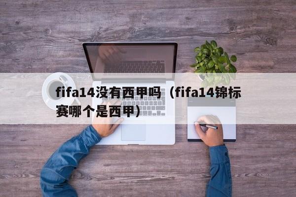 fifa14没有西甲吗（fifa14锦标赛哪个是西甲）
