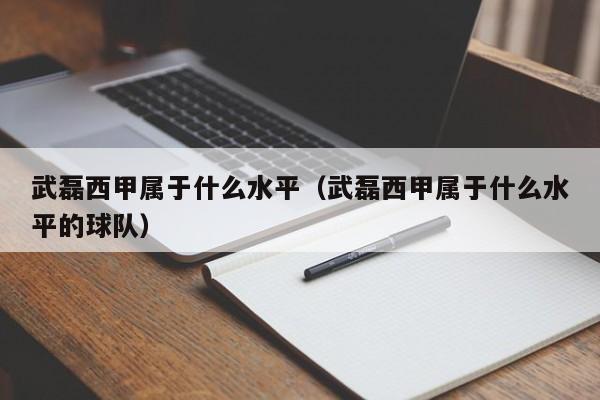 武磊西甲属于什么水平（武磊西甲属于什么水平的球队）