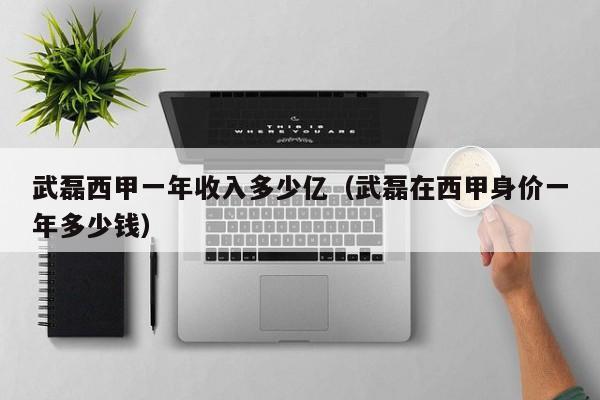 武磊西甲一年收入多少亿（武磊在西甲身价一年多少钱）