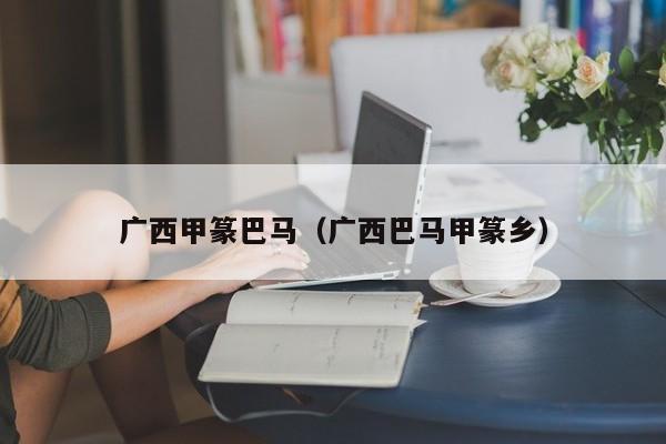 广西甲篆巴马（广西巴马甲篆乡）