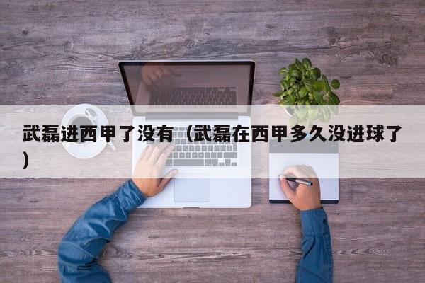 武磊进西甲了没有（武磊在西甲多久没进球了）