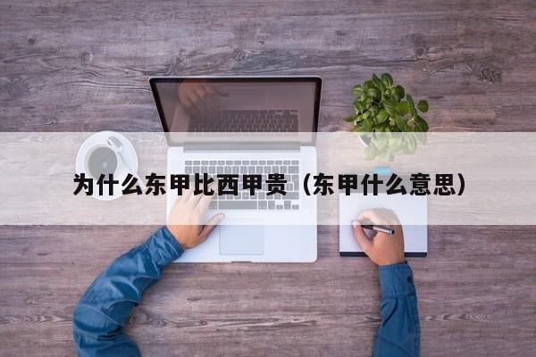 为什么东甲比西甲贵（东甲什么意思）