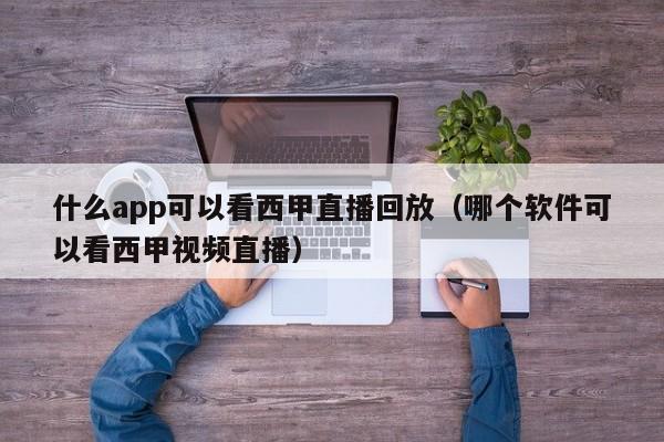 什么app可以看西甲直播回放（哪个软件可以看西甲视频直播）