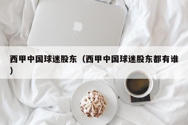 西甲中国球迷股东（西甲中国球迷股东都有谁）