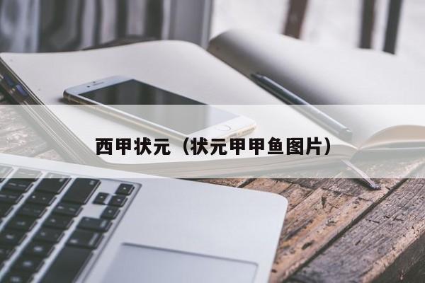 西甲状元（状元甲甲鱼图片）