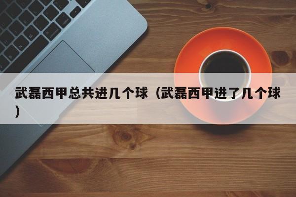 武磊西甲总共进几个球（武磊西甲进了几个球）