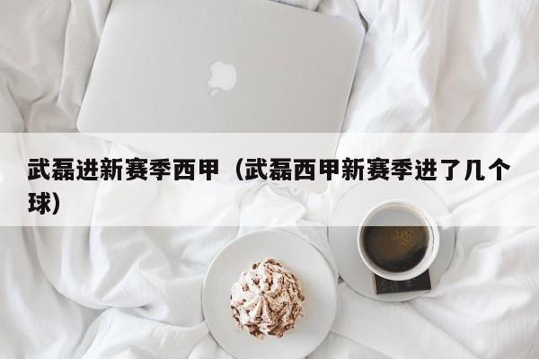 武磊进新赛季西甲（武磊西甲新赛季进了几个球）