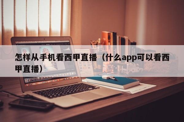 怎样从手机看西甲直播（什么app可以看西甲直播）
