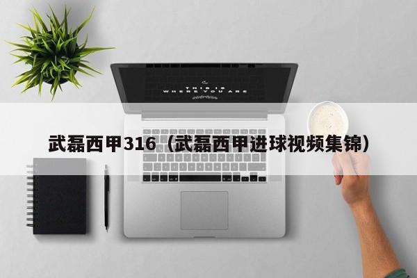 武磊西甲316（武磊西甲进球视频集锦）