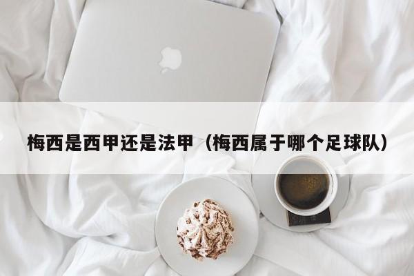 梅西是西甲还是法甲（梅西属于哪个足球队）