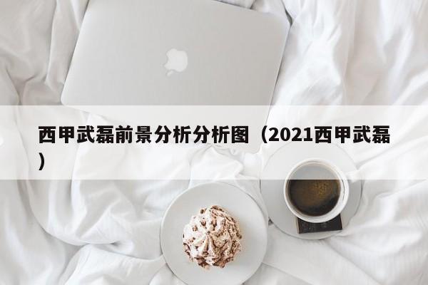 西甲武磊前景分析分析图（2021西甲武磊）