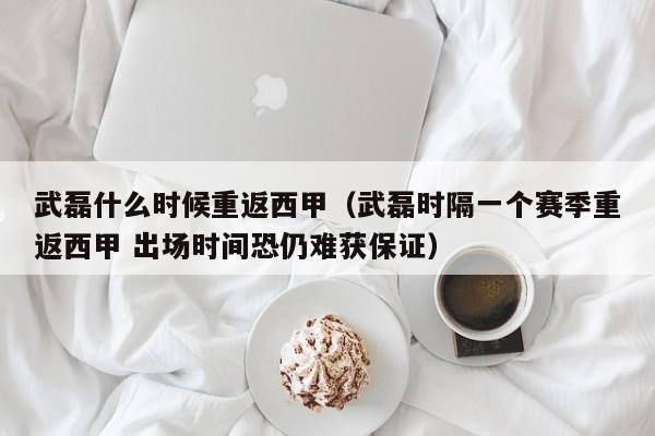 武磊什么时候重返西甲（武磊时隔一个赛季重返西甲 出场时间恐仍难获保证）