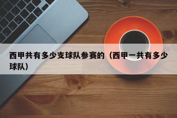 西甲共有多少支球队参赛的（西甲一共有多少球队）