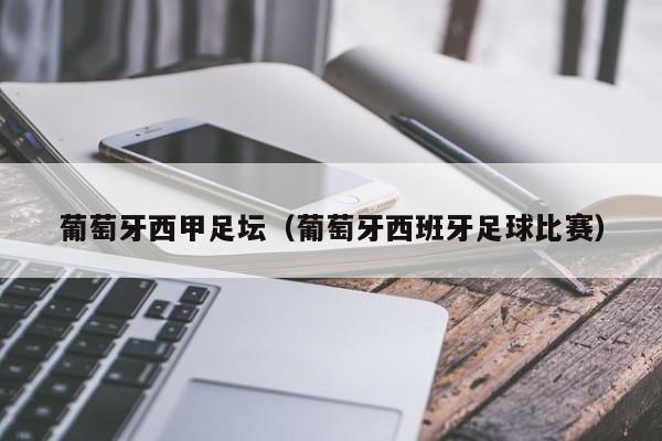 葡萄牙西甲足坛（葡萄牙西班牙足球比赛）