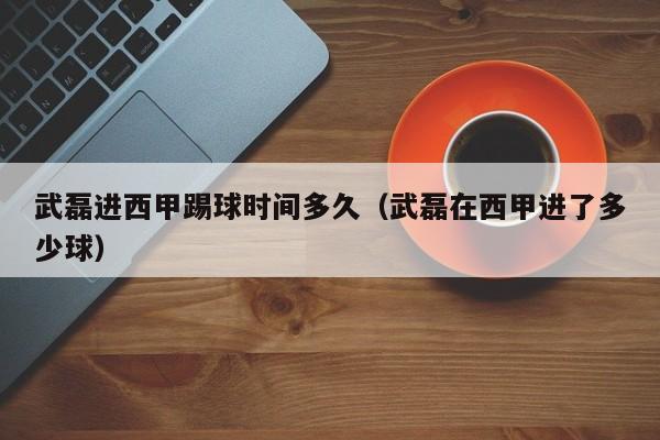 武磊进西甲踢球时间多久（武磊在西甲进了多少球）