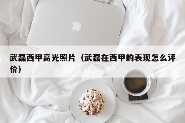 武磊西甲高光照片（武磊在西甲的表现怎么评价）