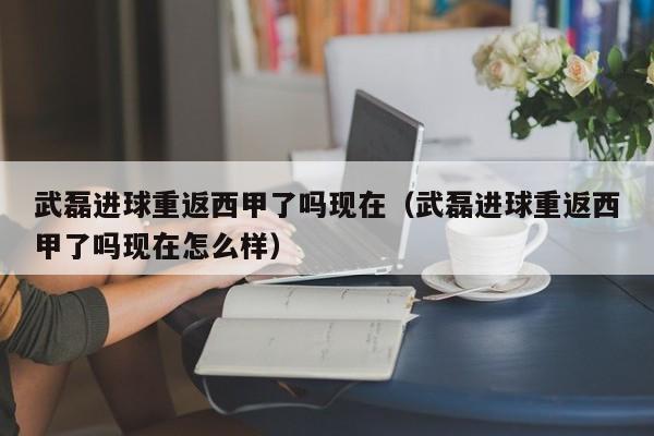 武磊进球重返西甲了吗现在（武磊进球重返西甲了吗现在怎么样）