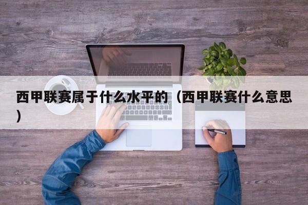 西甲联赛属于什么水平的（西甲联赛什么意思）