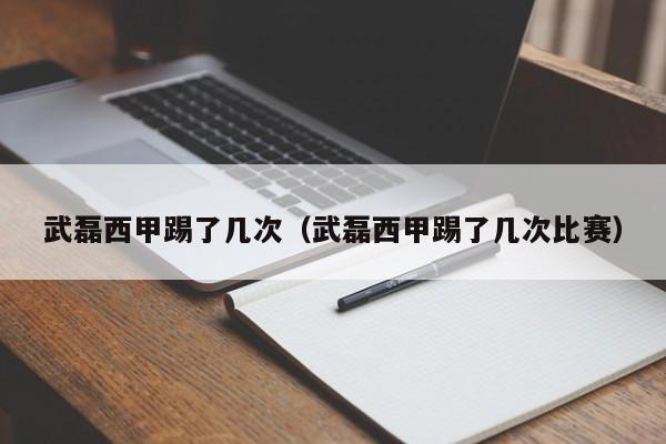 武磊西甲踢了几次（武磊西甲踢了几次比赛）