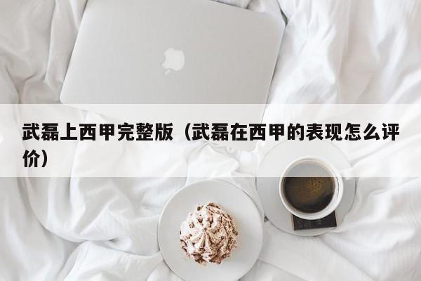 武磊上西甲完整版（武磊在西甲的表现怎么评价）