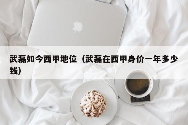 武磊如今西甲地位（武磊在西甲身价一年多少钱）