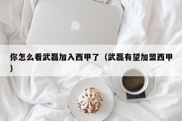 你怎么看武磊加入西甲了（武磊有望加盟西甲）