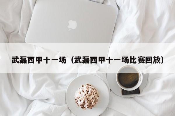 武磊西甲十一场（武磊西甲十一场比赛回放）