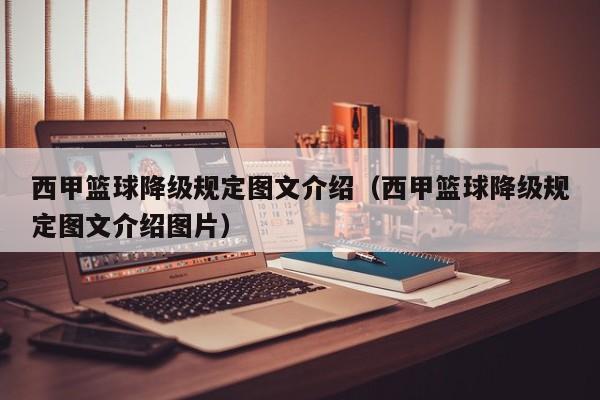 西甲篮球降级规定图文介绍（西甲篮球降级规定图文介绍图片）