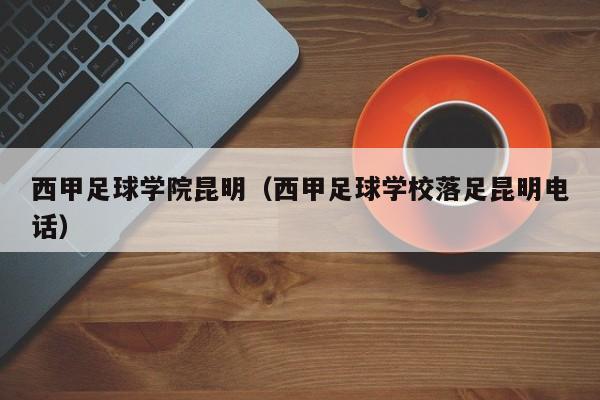 西甲足球学院昆明（西甲足球学校落足昆明电话）