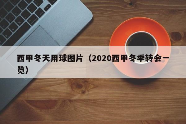 西甲冬天用球图片（2020西甲冬季转会一览）