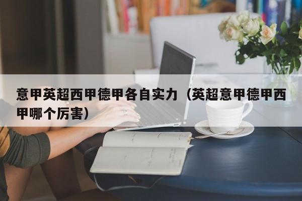意甲英超西甲德甲各自实力（英超意甲德甲西甲哪个厉害）