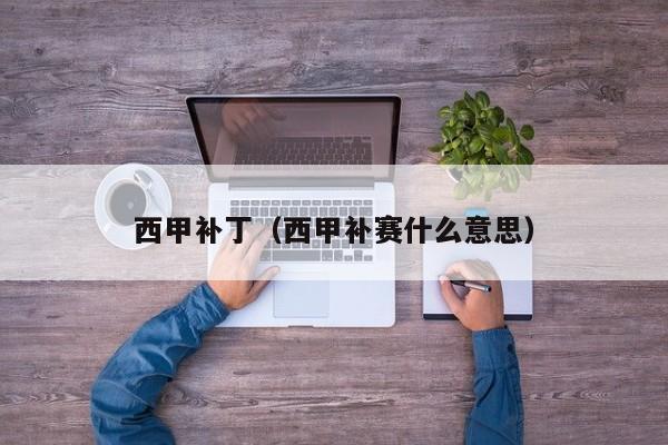 西甲补丁（西甲补赛什么意思）