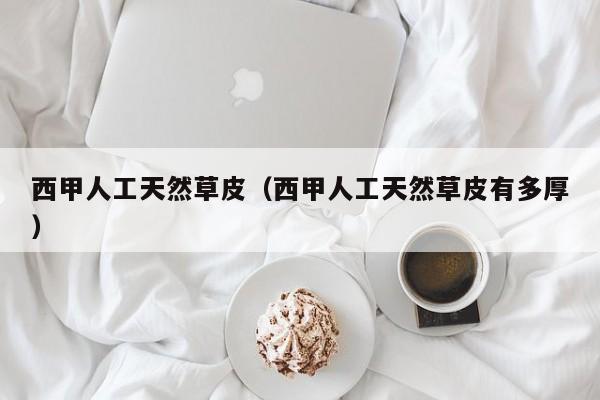 西甲人工天然草皮（西甲人工天然草皮有多厚）